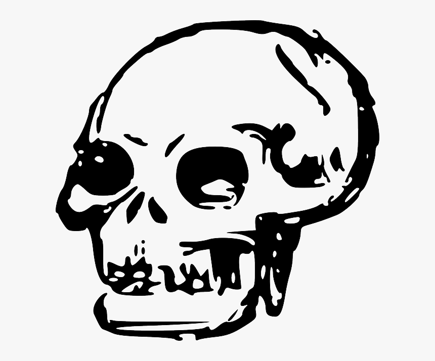 Head, Dead, Skull, Human, Bones, Skulls - Skull Clip Art Png, Transparent Png, Free Download