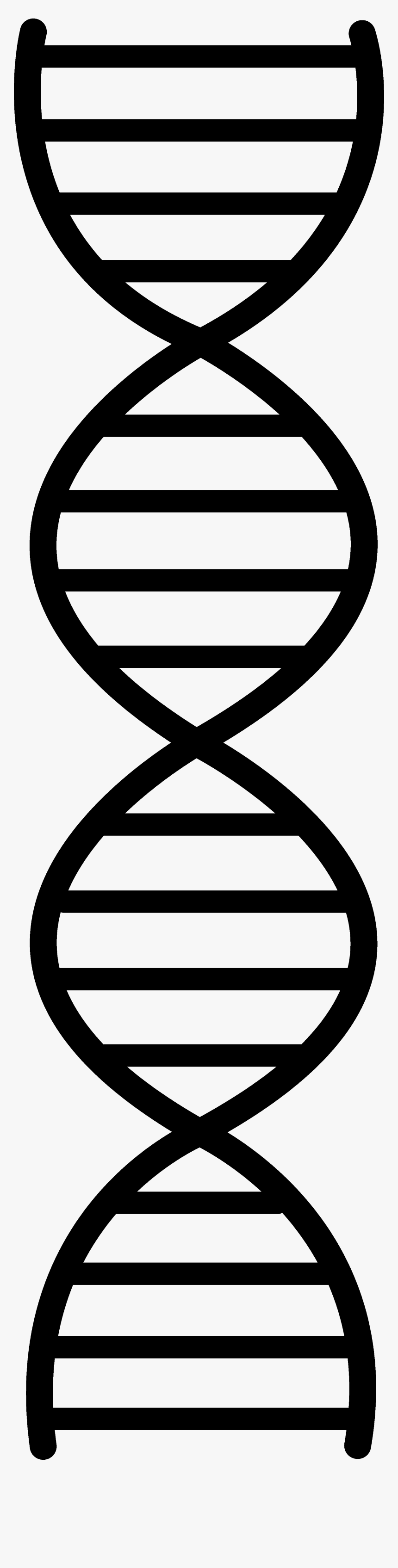 Dna Vector Png - Double Helix Easy Drawing, Transparent Png, Free Download