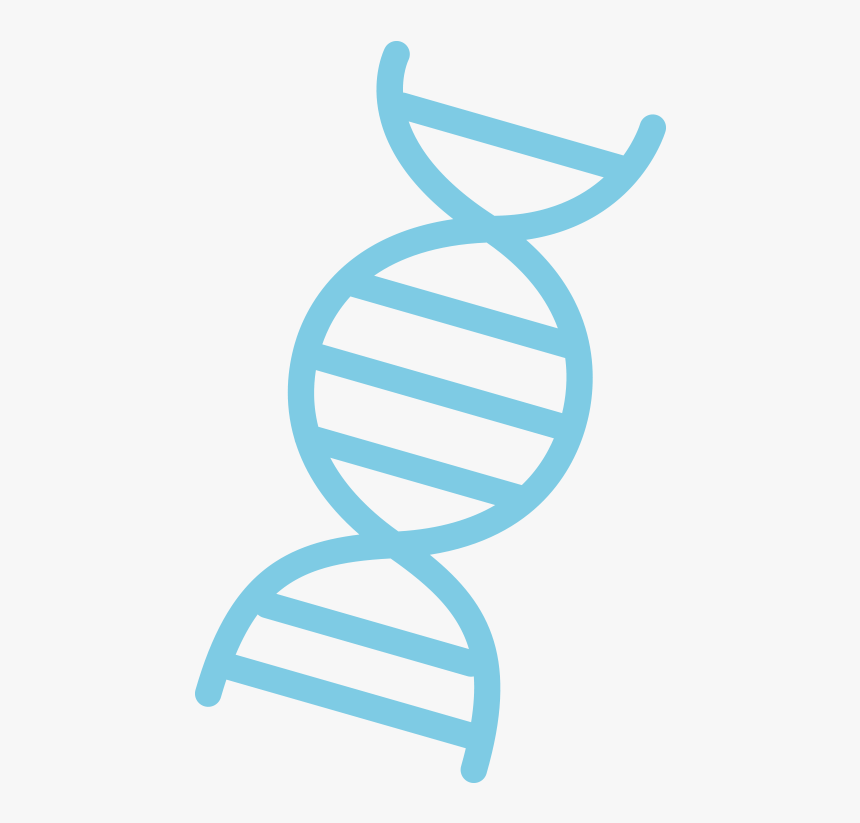 Dna Png - Dna Png No Background, Transparent Png, Free Download