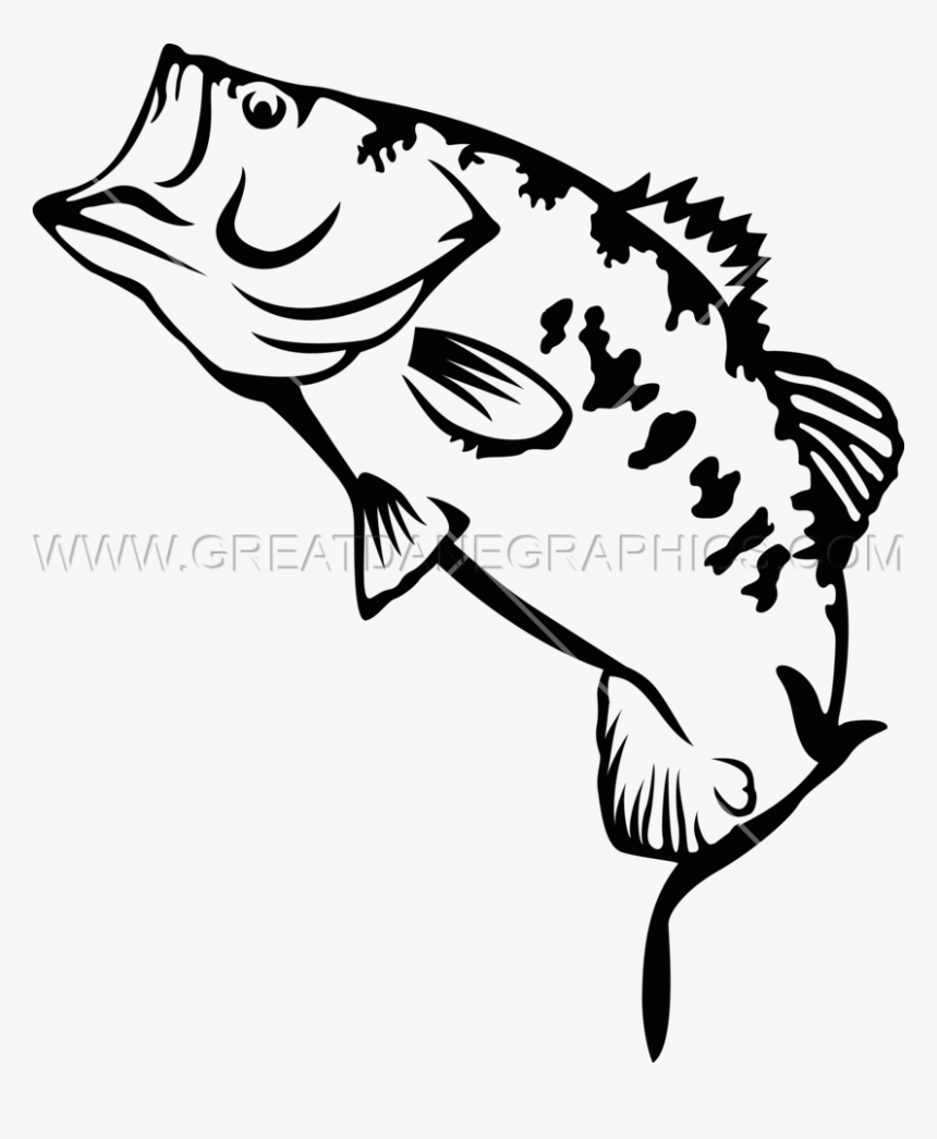 Transparent Largemouth Bass Clipart, HD Png Download, Free Download