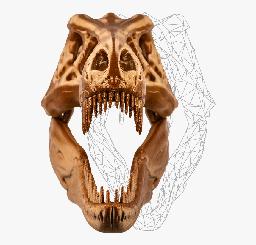 Skull, HD Png Download, Free Download