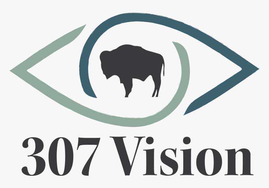 307 Vision Logo - Bull, HD Png Download, Free Download