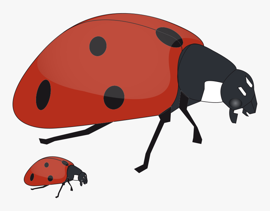 Fox Clipart Mommy - Big And Small Ladybug, HD Png Download, Free Download