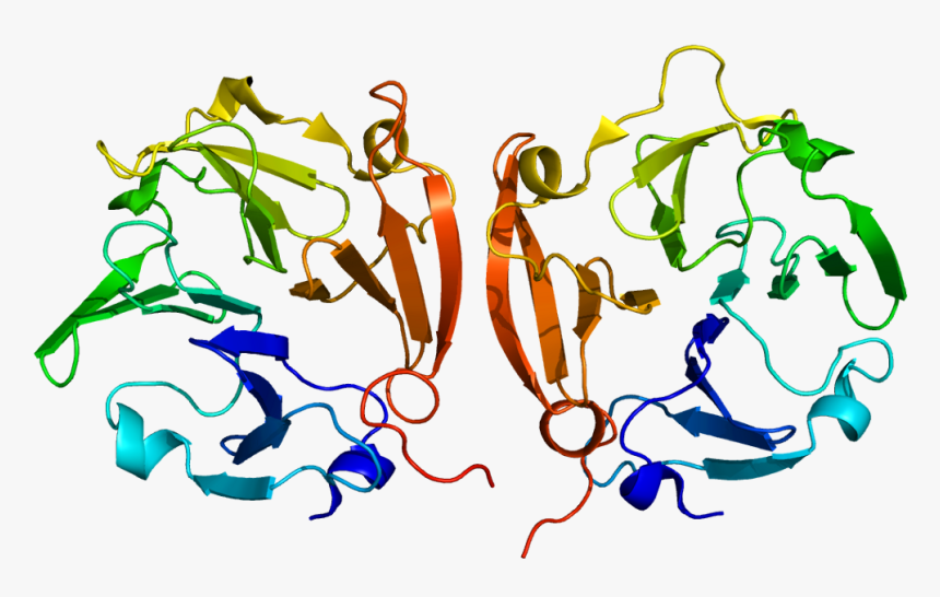 Protein Mmp9 Pdb 1itv - Matrix Metalloproteinase 9, HD Png Download, Free Download