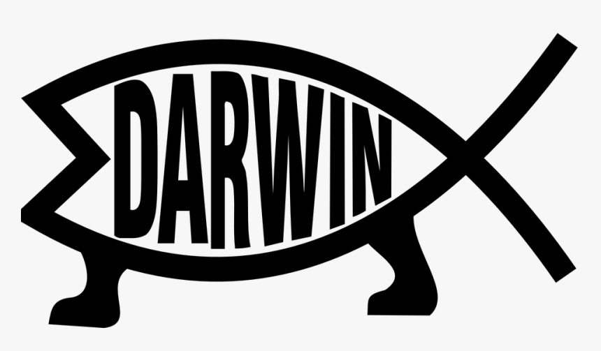 Darwin, Fish, Evolution, HD Png Download, Free Download