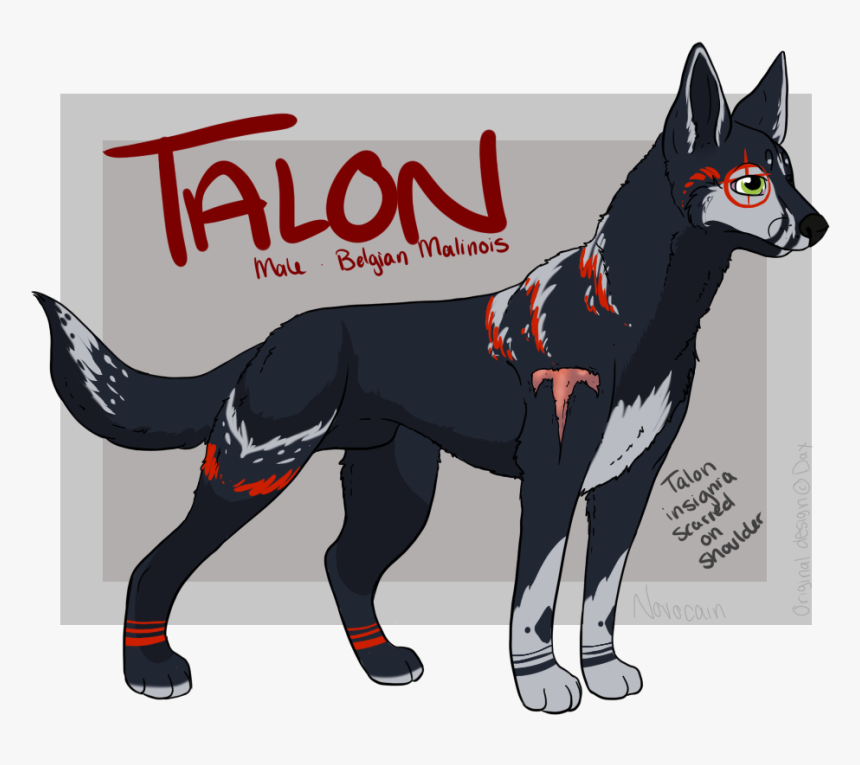 Picture - Dog Catches Something, HD Png Download, Free Download