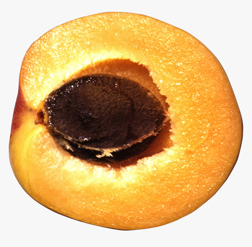 Peach, HD Png Download, Free Download