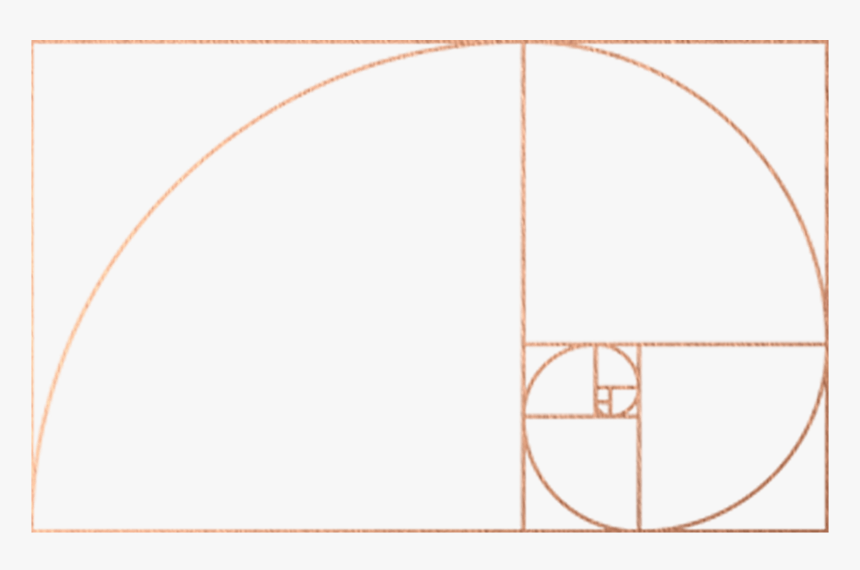 The Golden Ratio - Fibonacci Spiral, HD Png Download, Free Download