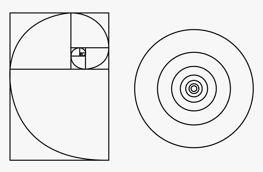 Golden Ratio, HD Png Download, Free Download