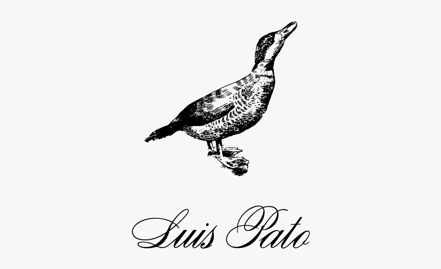 Illustration, HD Png Download, Free Download