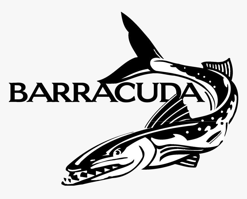 Barracuda Logo Black And White - Barracuda Vector, HD Png Download, Free Download