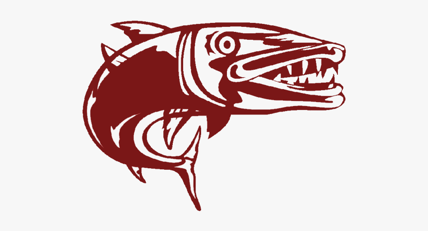 Barracuda - Barracuda Art Black And White, HD Png Download, Free Download