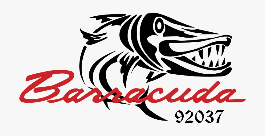 Barracuda Logo, HD Png Download, Free Download