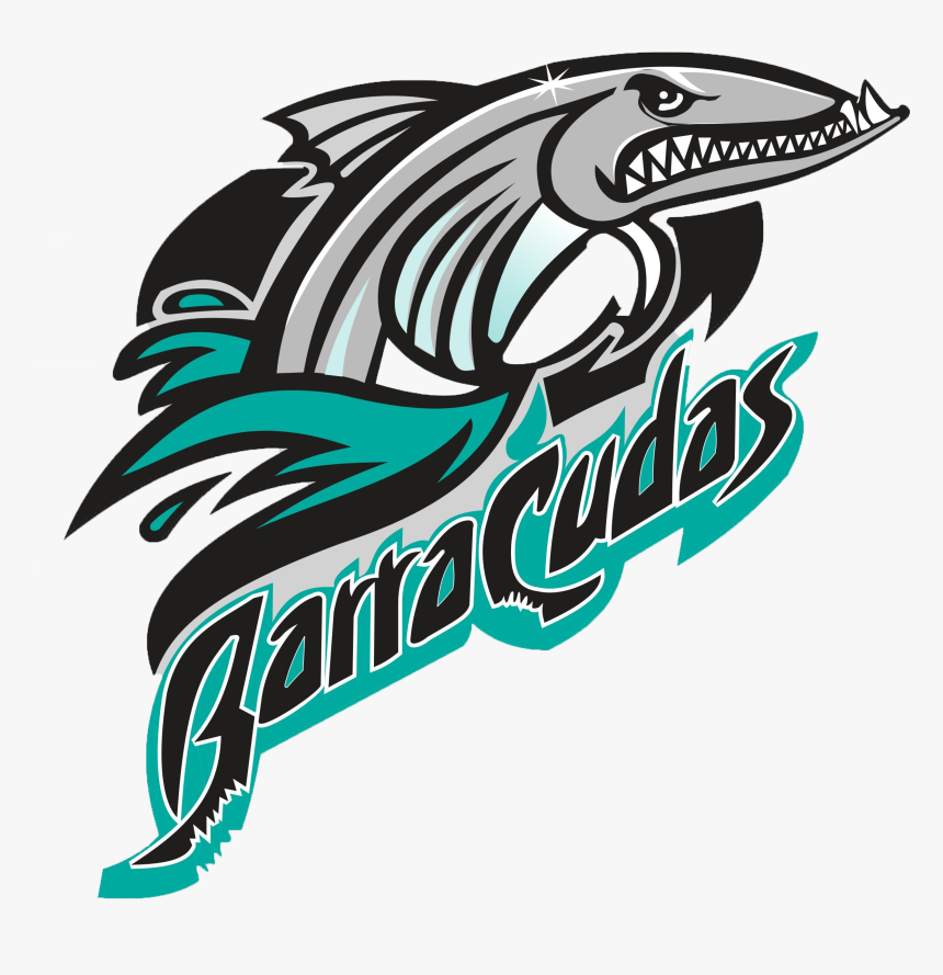Barracudas - Graphic Design, HD Png Download, Free Download