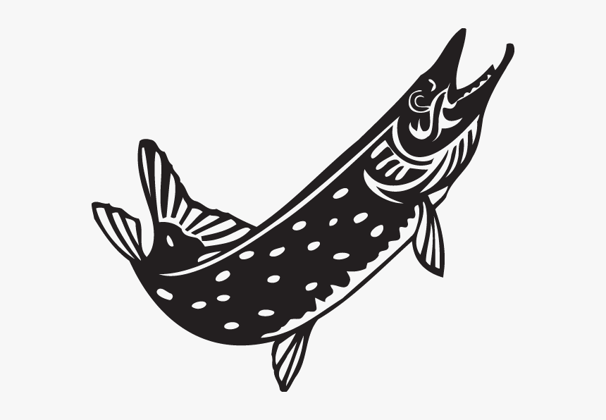 Northern Pike Clipart, HD Png Download, Free Download