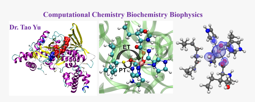 Cashman, Ph - Diagnostic Biosystems, HD Png Download, Free Download