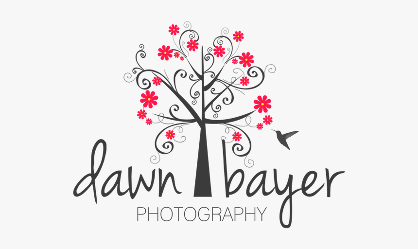 Dawn Bayer Photography Logo - Logo Design Lily Flower Photography Logo, HD Png Download, Free Download