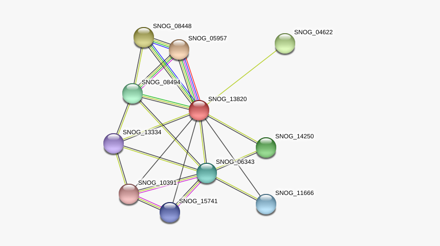 Snog 13820 Protein - Circle, HD Png Download, Free Download