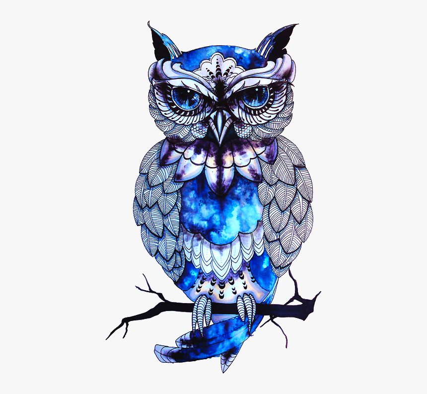 @officialstars 🍀👑↗ - Owl Art Png, Transparent Png, Free Download