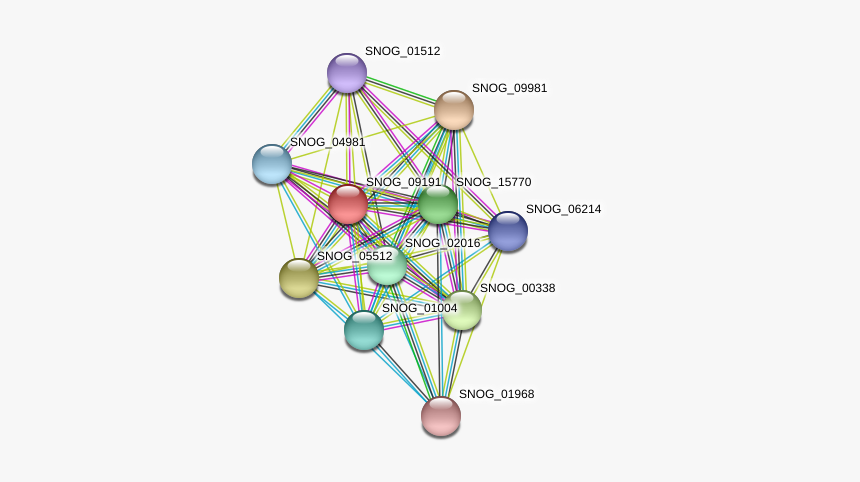 Snog 09191 Protein - Circle, HD Png Download, Free Download