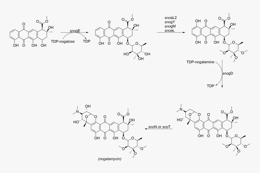 Diagram, HD Png Download, Free Download