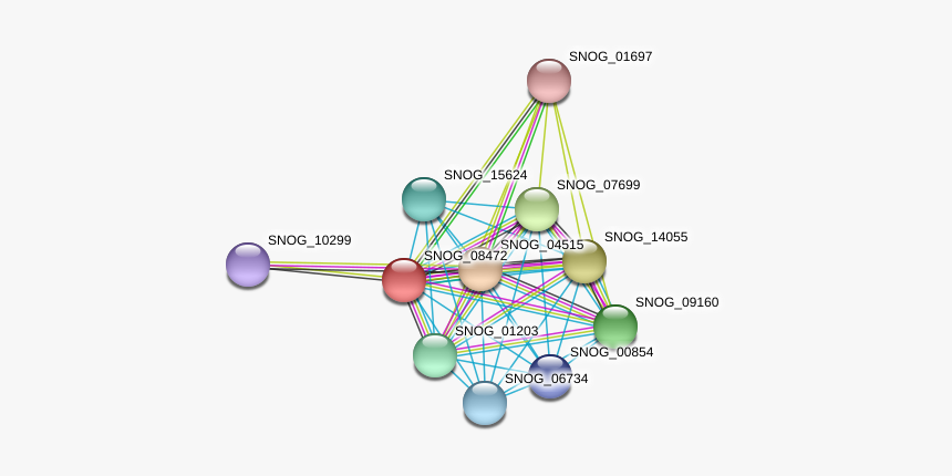 Snog 08472 Protein - Circle, HD Png Download, Free Download