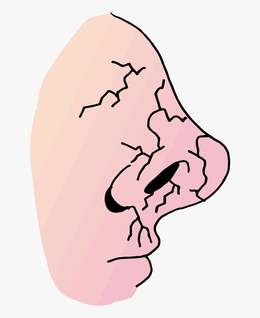 Dry Nose Cartoon, HD Png Download, Free Download