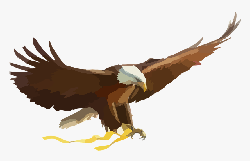 Flying Eagle Clipart, HD Png Download, Free Download