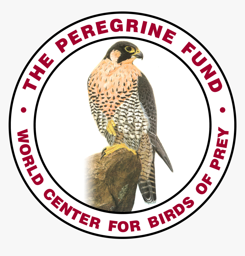 World Center For Birds Of Prey Boise, HD Png Download, Free Download