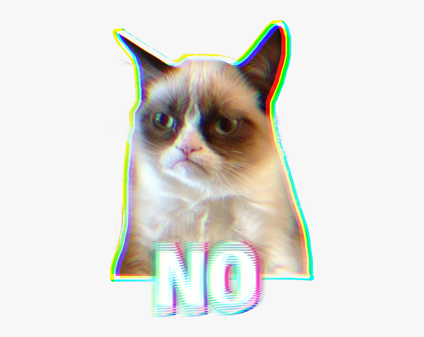 #ftestickers #cat #no #meme #glitch #stickers #freetoedit - Grumpy Cat Disagree, HD Png Download, Free Download