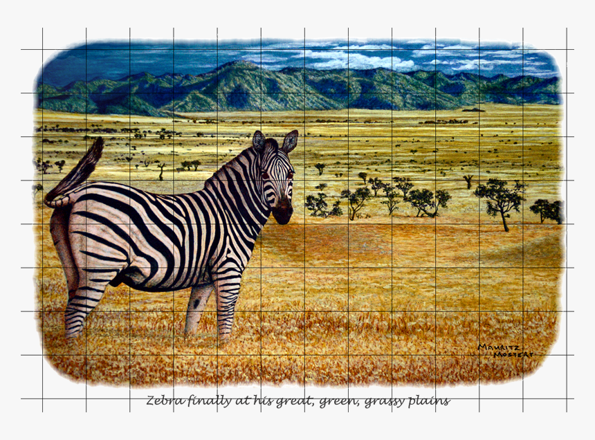 Zebra Plains Web Gr - Zebra, HD Png Download, Free Download