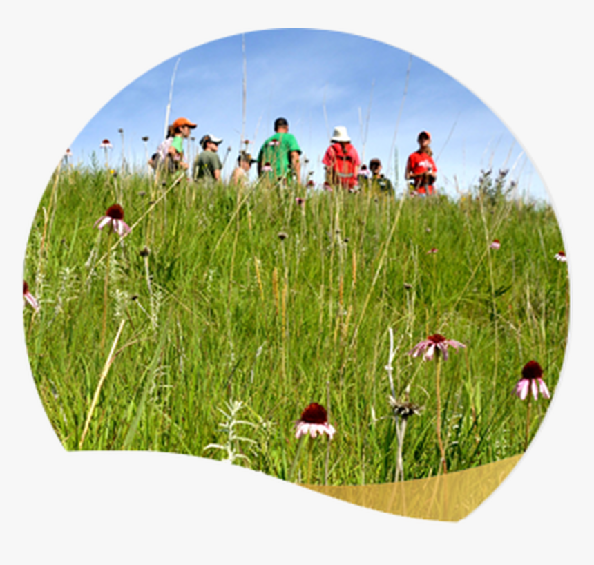 Photo Of Membership Package - Grassland, HD Png Download, Free Download