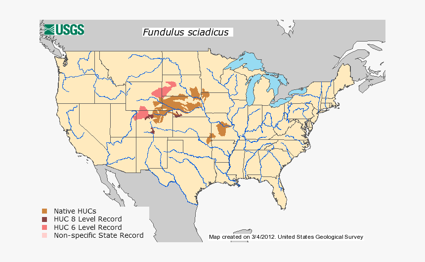 Plains Topminnow Distribution - White Spotted Jellyfish Distribution, HD Png Download, Free Download