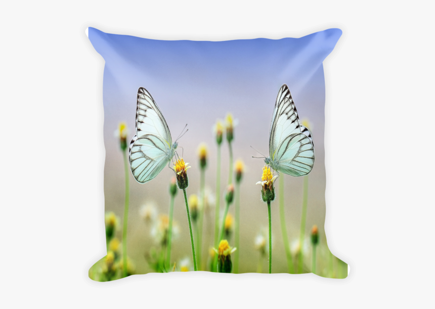 Butterfly Pillow, Throw Pillow, Decorative Pillow, - Pillow Printing Design Png, Transparent Png, Free Download