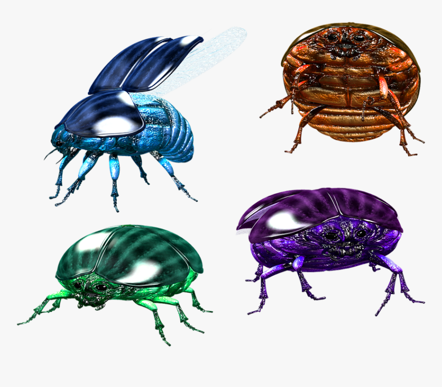 Kumbang Scarab, HD Png Download, Free Download