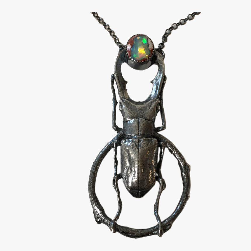 Longhorn Beetle, HD Png Download, Free Download