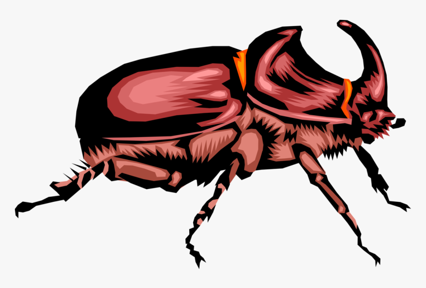 Vector Illustration Of Rhinoceros Scarab Horn Beetle - Rhinoceros Beetle, HD Png Download, Free Download