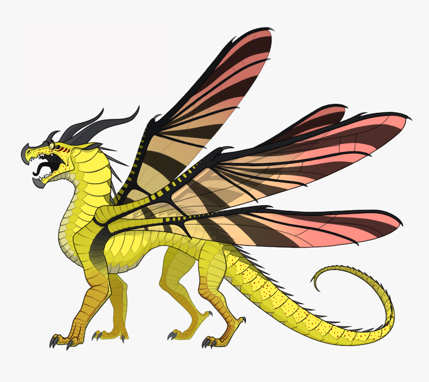 Wings Of Fire Database - Wings Of Fire Hivewing Name Generator, HD Png Download, Free Download