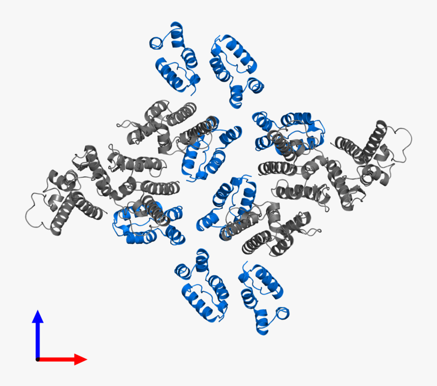 Chain, HD Png Download, Free Download