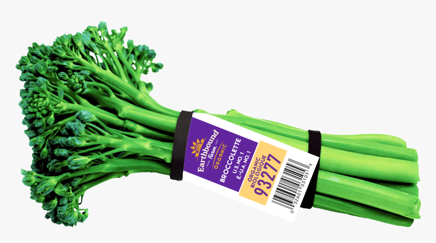 Fresh Organic Broccolette - Earthbound Broccolette, HD Png Download, Free Download