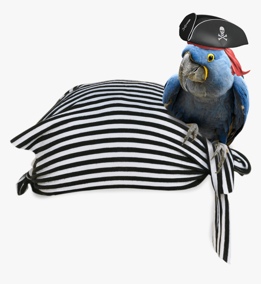 Pirate Bandana Png, Transparent Png, Free Download