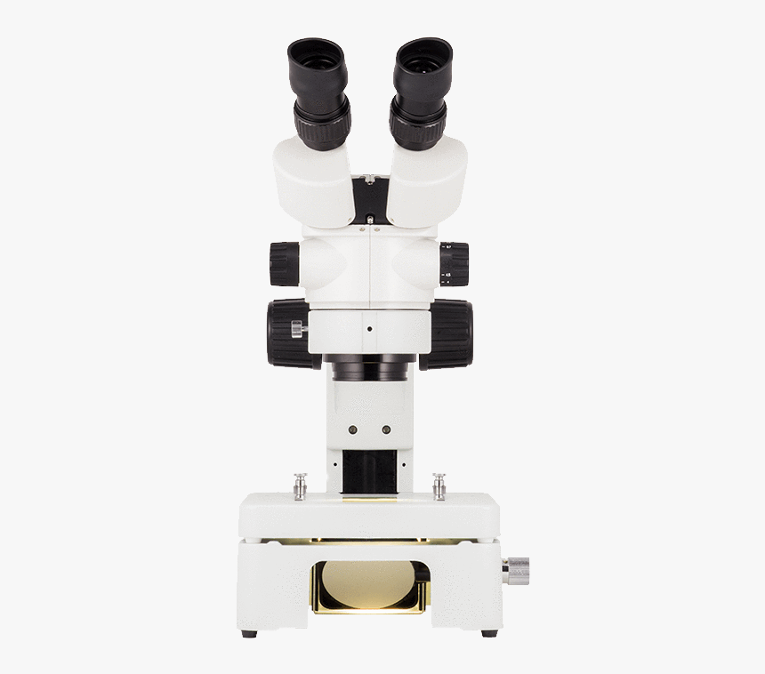 Stereo Microscope, HD Png Download, Free Download