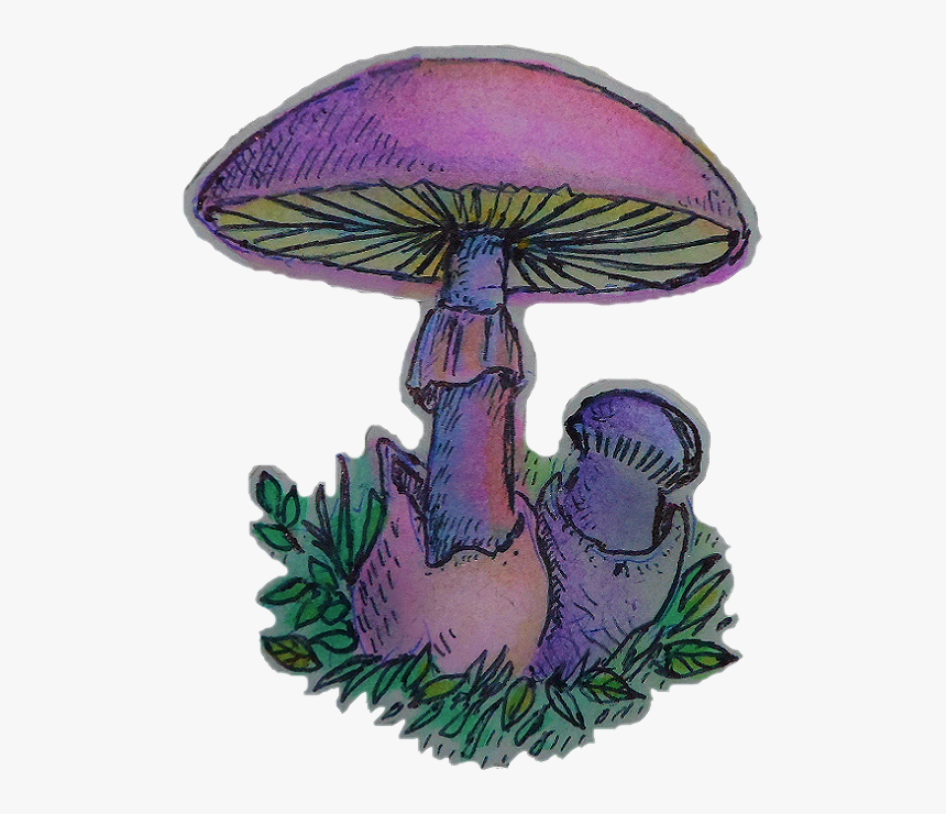 #mushroom #shroom #420 #flower #aesthetic #kawaii #love - Cartoon Like Aest...