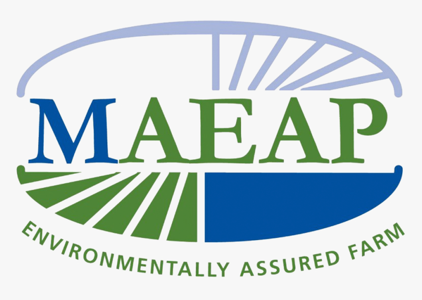 Maeap, HD Png Download, Free Download