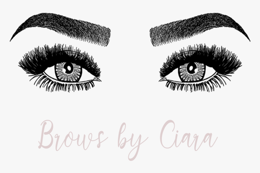 Brows And Lashes Png, Transparent Png, Free Download