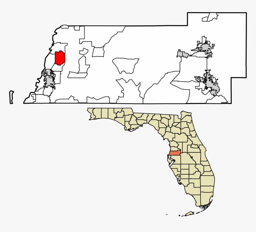 County Florida, HD Png Download, Free Download