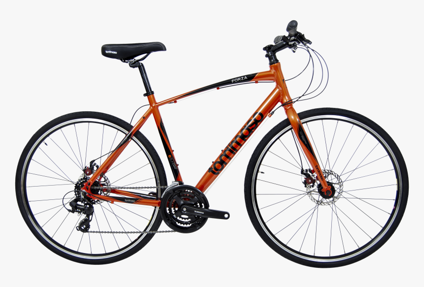 Forza Disc Fitness Bike - Ridley Noah Fast Disc 2020, HD Png Download, Free Download
