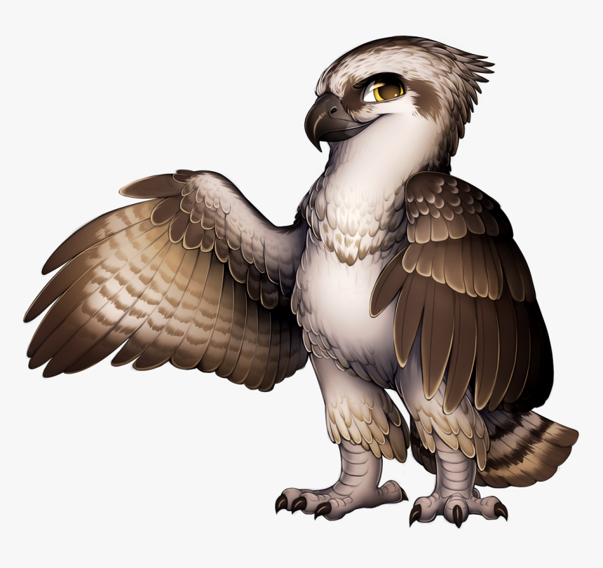 Red Tailed Hawk Furry, HD Png Download, Free Download