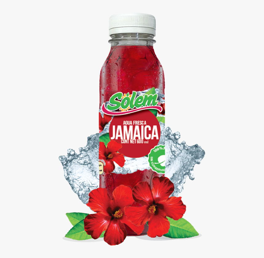 Agua De Jamaica Hd, HD Png Download, Free Download