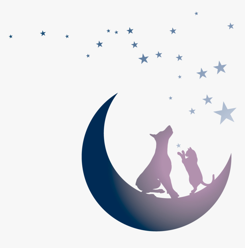Moon And Stars No Background, HD Png Download, Free Download